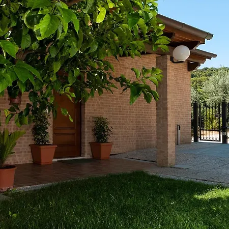 La casa de Rocche-2